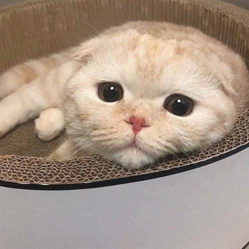 สมาชิกหมายเลข 6140795