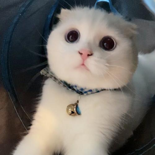 สมาชิกหมายเลข 6140919