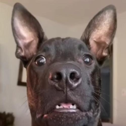 สมาชิกหมายเลข 6141019