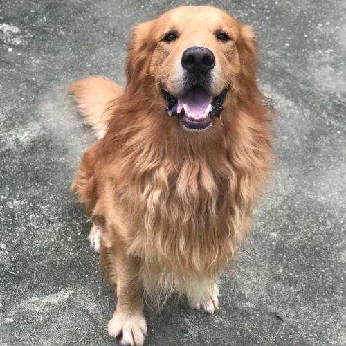 สมาชิกหมายเลข 6505894