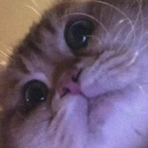 สมาชิกหมายเลข 6509042