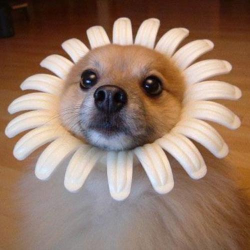 สมาชิกหมายเลข 8409509