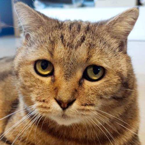 สมาชิกหมายเลข 8448163