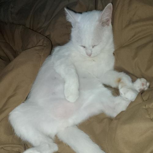 สมาชิกหมายเลข 8448400