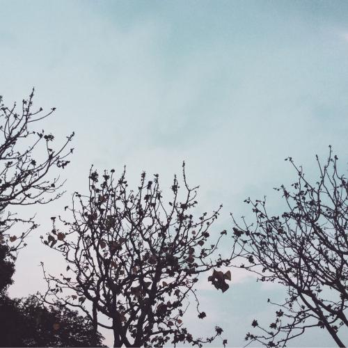 สมาชิกหมายเลข 3074608