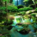 สมาชิกหมายเลข 3983101