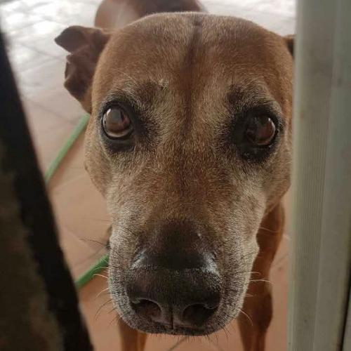 สมาชิกหมายเลข 2164731