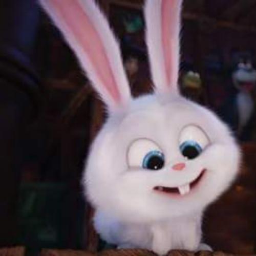 สมาชิกหมายเลข 5580528