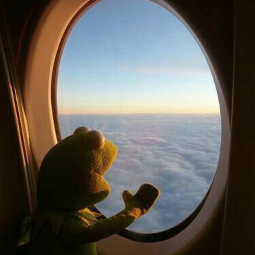 สมาชิกหมายเลข 4510910