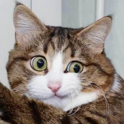 ได้ได้ได้ ลูกเดียวลูกเดียว