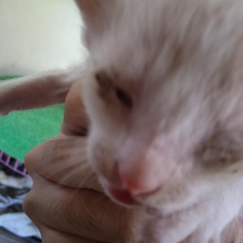 สมาชิกหมายเลข 6767207