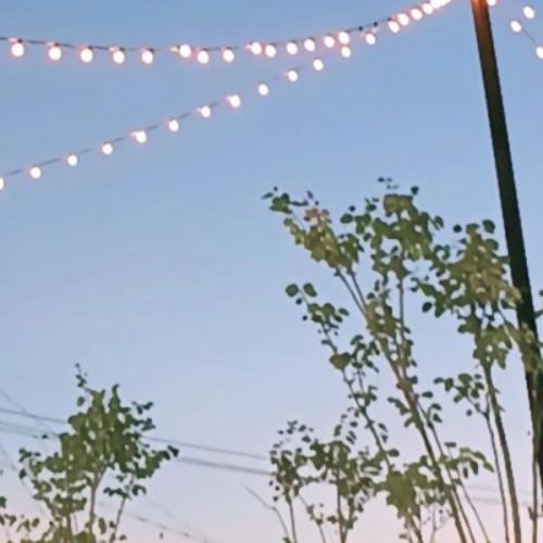 สมาชิกหมายเลข 6768521