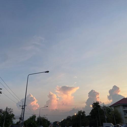 สมาชิกหมายเลข 7538601