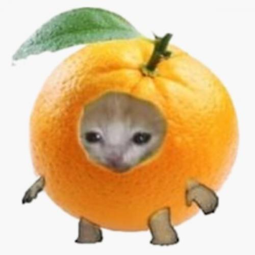 สมาชิกหมายเลข 8449281