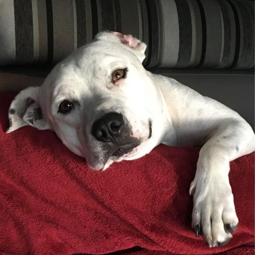 สมาชิกหมายเลข 2221031