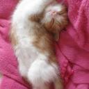 สมาชิกหมายเลข 3653031