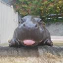 สมาชิกหมายเลข 3981672