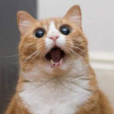 สมาชิกหมายเลข 4455479