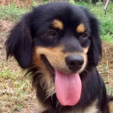 สมาชิกหมายเลข 4455486