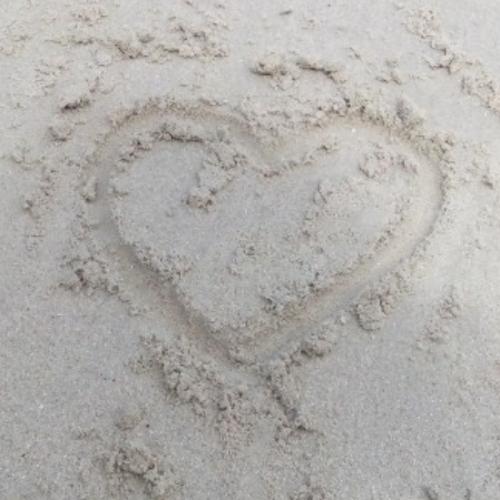 สมาชิกหมายเลข 5581069