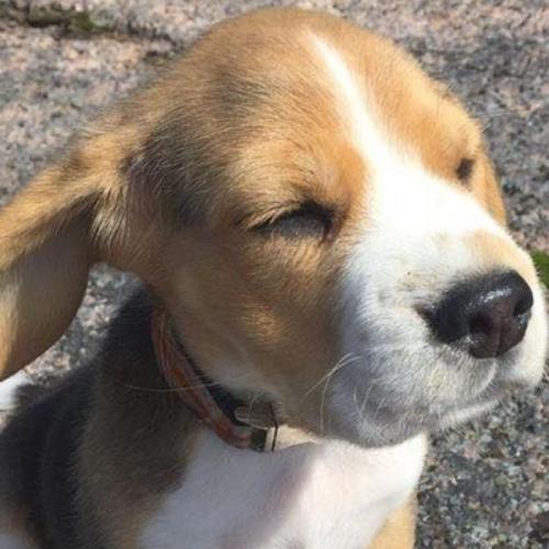 สมาชิกหมายเลข 6141734