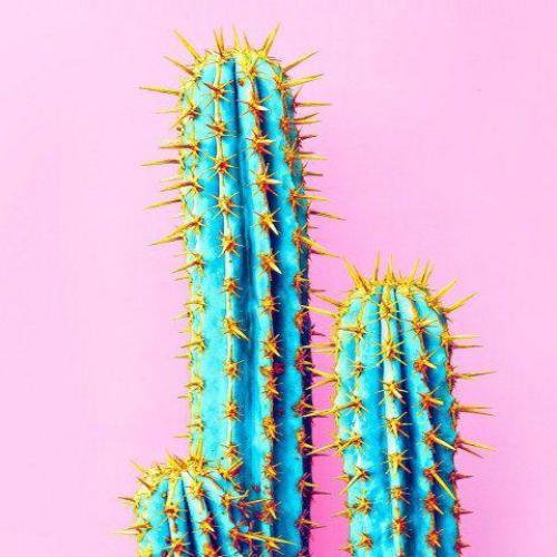 สมาชิกหมายเลข 2684900