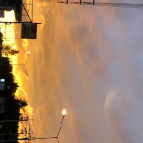 สมาชิกหมายเลข 6209677