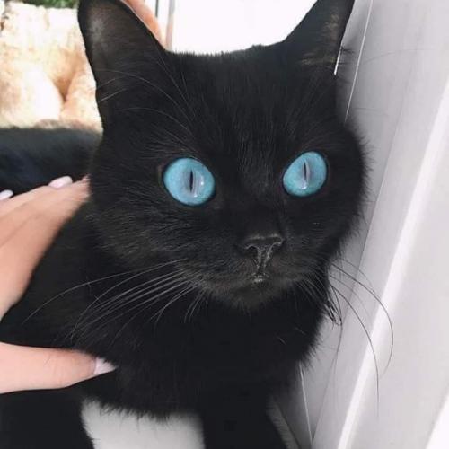 สมาชิกหมายเลข 6769046