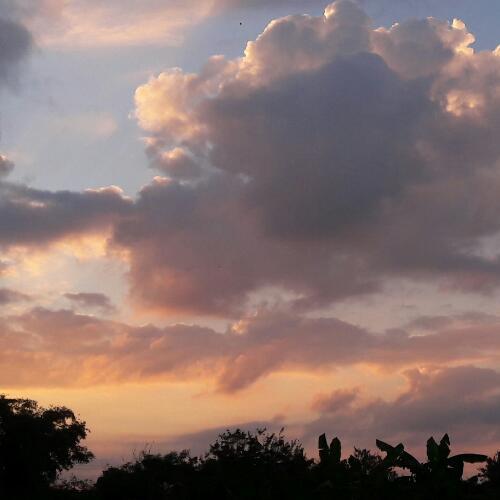 สมาชิกหมายเลข 6769166