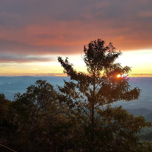 สมาชิกหมายเลข 1339942