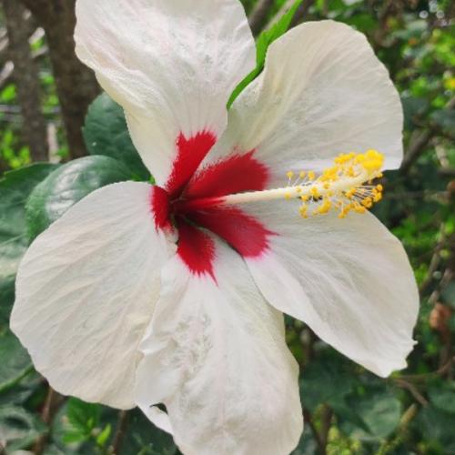 สมาชิกหมายเลข 6089403