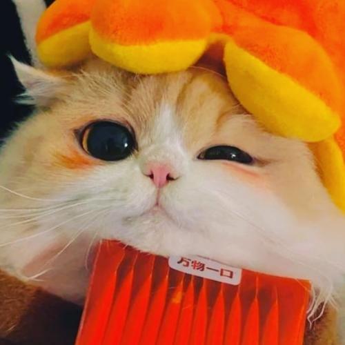 สมาชิกหมายเลข 7536226