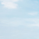 สมาชิกหมายเลข 1408242