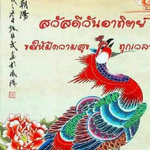 สมาชิกหมายเลข 4795095