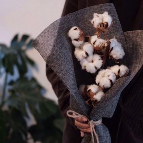 สมาชิกหมายเลข 4694449