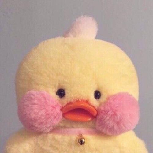 สมาชิกหมายเลข 5581172