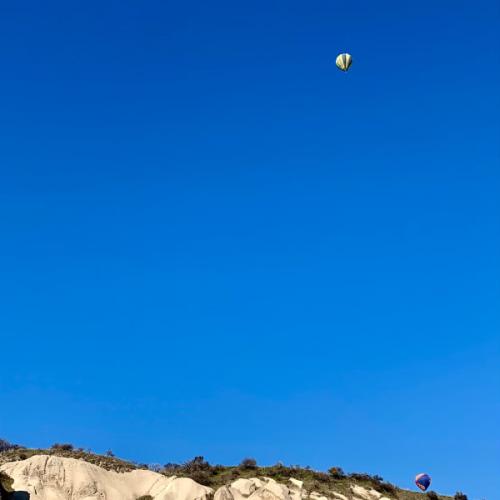 สมาชิกหมายเลข 6132346