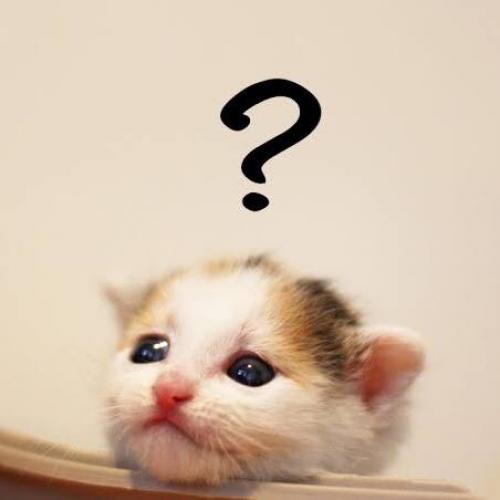 สมาชิกหมายเลข 6142307