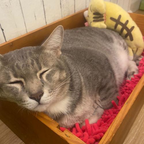 สมาชิกหมายเลข 6142636