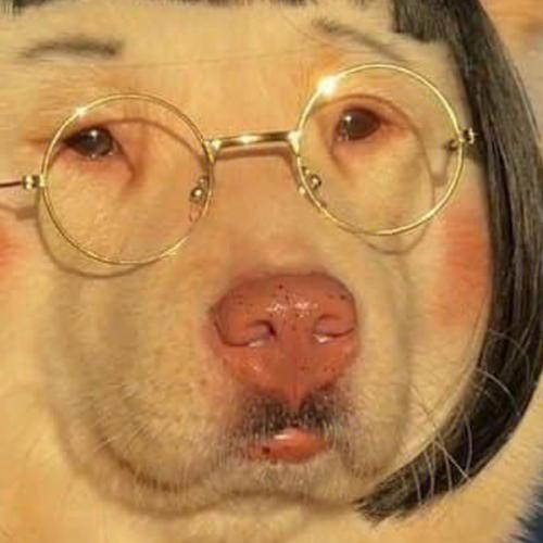 สมาชิกหมายเลข 3302562