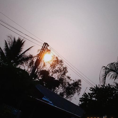 สมาชิกหมายเลข 6811154