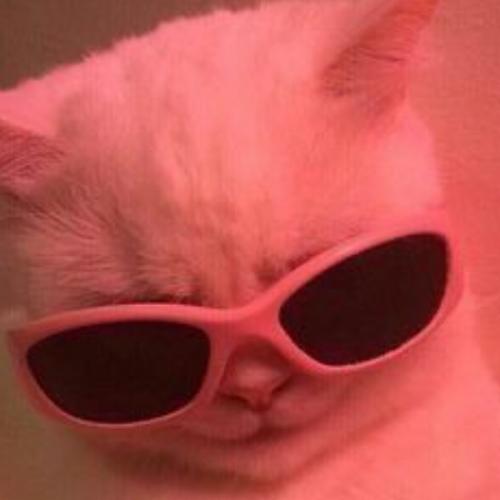 สมาชิกหมายเลข 7492104