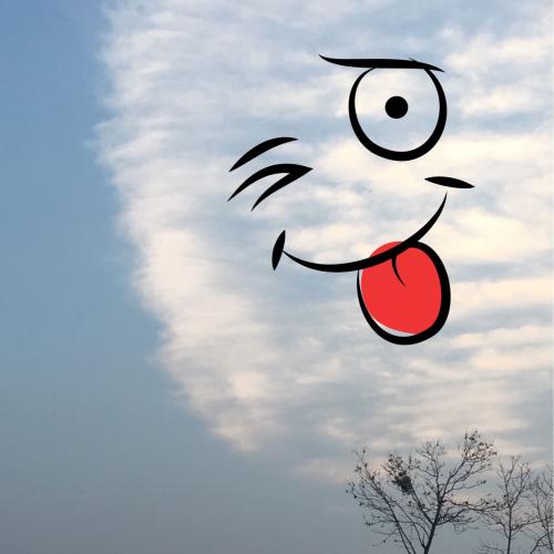 สมาชิกหมายเลข 3984780