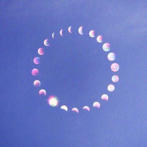 เต้าหู้หมูสับใส่ขึ้นฉ่าย