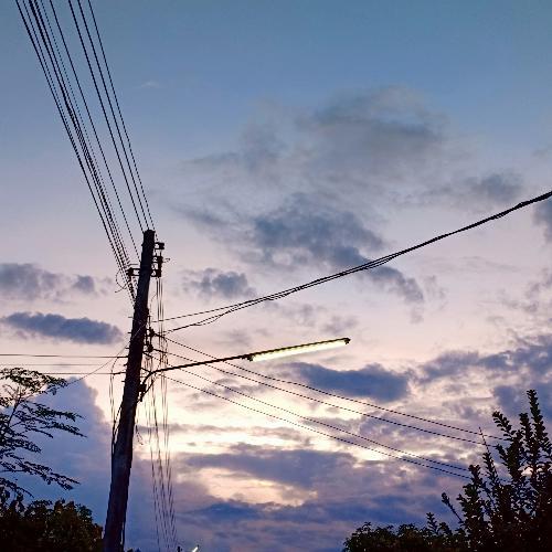 สมาชิกหมายเลข 4795460