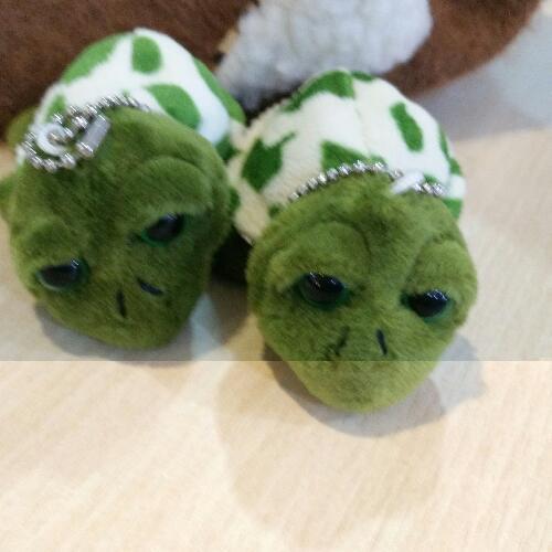 สมาชิกหมายเลข 4795512