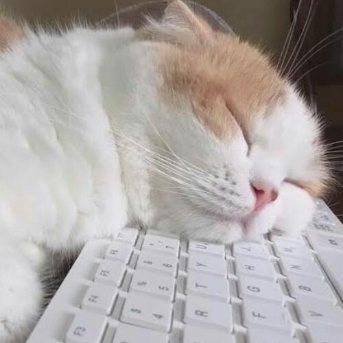 สมาชิกหมายเลข 4418371