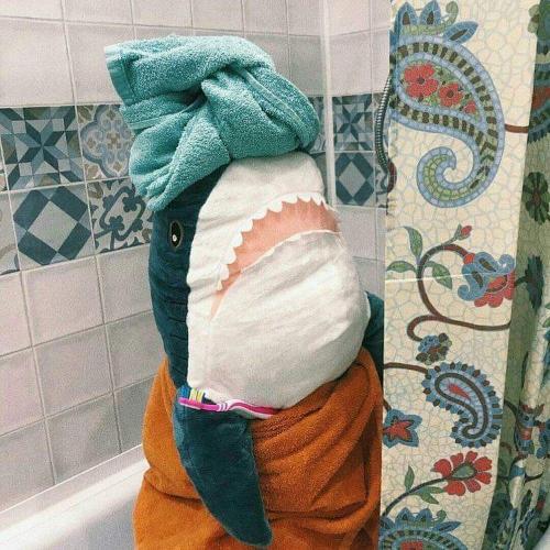 สมาชิกหมายเลข 5581936