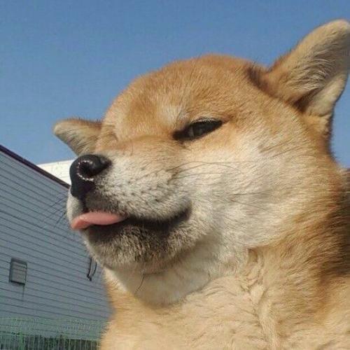 สมาชิกหมายเลข 5581956