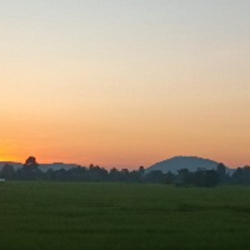 สมาชิกหมายเลข 5582001